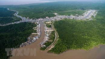 Ca Mau develops eco-tourism, community-based tourism