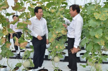 Long An transforms plants and animals vigorously after 3 years of developing hi-tech agriculture