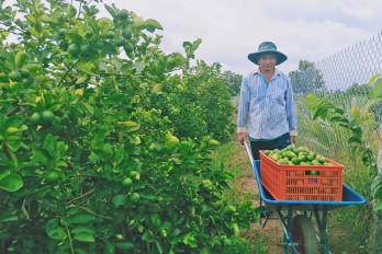 Ứng dụng công nghệ cao vào sản xuất, nông dân nâng cao thu nhập