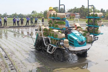 Đẩy mạnh phát triển nông nghiệp chất lượng cao và ứng dụng công nghệ cao