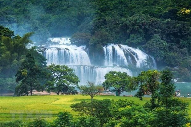 Ban Gioc is the largest natural waterfall in Southeast Asia and also the world's fourth-largest cross-border waterfall (Photo: VNA)