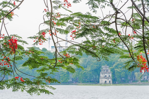 Turtle Tower in the middle of Hoan Kiem Lake, Hanoi (Photo courtesy of Bui Van Doanh)