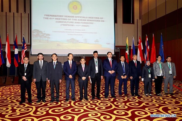 Brunei's Minister of Primary Resources and Tourism Haji Ali (5th L) poses for a group photo with officials from ASEAN countries during the Senior Officials' Meeting of the 41st Meeting of the ASEAN Ministers on Agriculture and Forestry, in Bandar Seri Begawan, capital of Brunei, on Oct. 12, 2019. (Source: Xinhua)