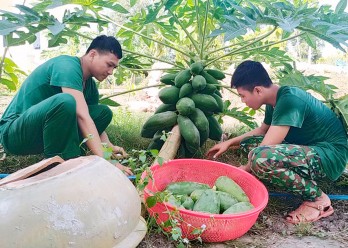 Tăng gia sản xuất ở đồn Biên phòng Thạnh Trị