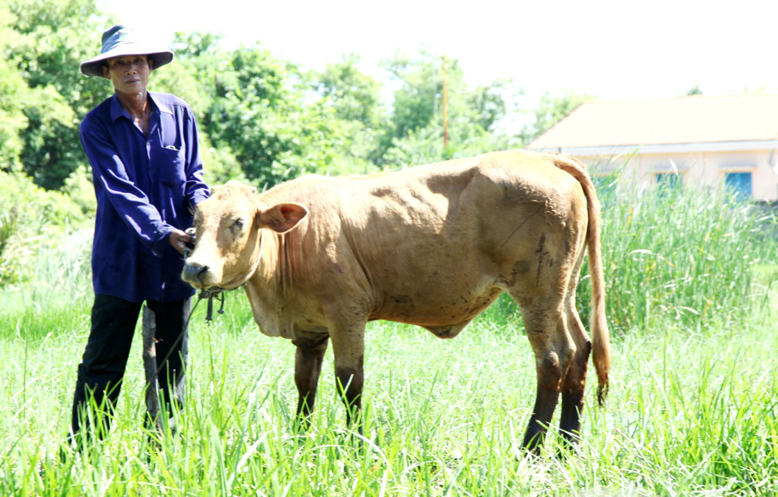 Anh Nguyễn Văn Phúc thoát nghèo