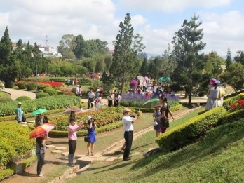 Eighth Da Lat Flower Festival to take place in December