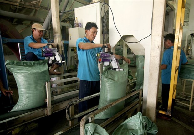 Rice is packaged at the privately-owned Co May Company in Dong Thap province. The private sector has been a driving force for growth in the first three quarters. (Photo: VNA)