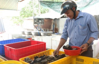 Cửa hàng hải sản Sang Duyên: Hướng đến sản phẩm sạch để phục vụ khách hàng