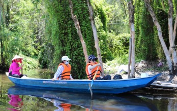 Long An: New path for tourism opened