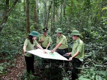 Vietnam to boost tourism development in protective forests