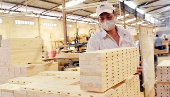 Wood exports to hit 11.5 billion USD, exceeding target in 2019