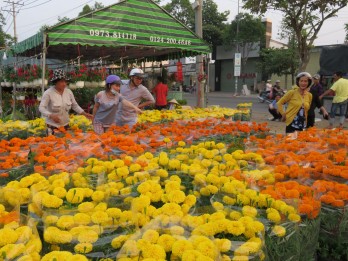 Long An: Spring flower market to start on January 9