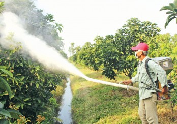 Những nhà khoa học “chân đất”