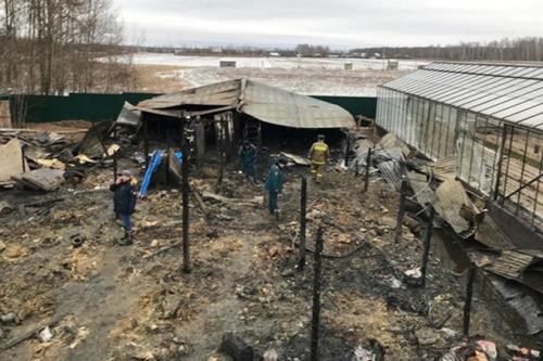 Russian Emergency Situations employees work at the side of the metal construction of a greenhouse farm in a Moscow suburb after the fire. (Photo: AP)