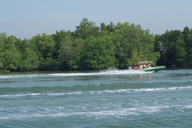 Visitors aboard a speed boat to visit Thieng Lieng Island in HCM City’s Can Gio district (Photo: VNA)