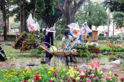 Several flower festivals and markets opens across Ho Chi Minh City. (Photo: VNA)