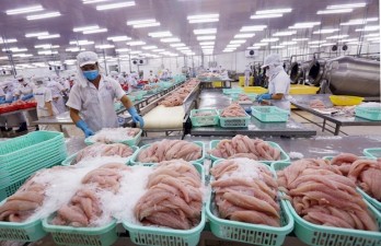 Vietnam aims for 9 bln USD worth of fishery exports in 2020