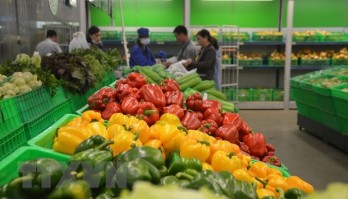 Vietnam targets 5 billion USD from fruit, vegetable exports in 2020