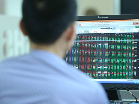 An investor watches stocks on his computer.  (Photo: vnreview)