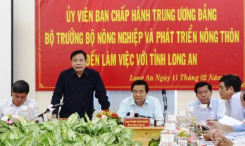 Minister of Agriculture and Rural Development - Nguyen Xuan Cuong surveys consumption of dragon fruits in Long An