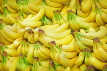 Philippine banana growers struggle due to COVID-19