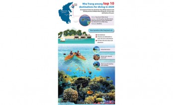 Nha Trang among top 10 destinations for diving in 2020