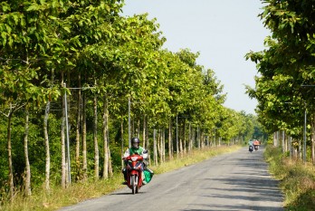 Về lại Tuyên Bình