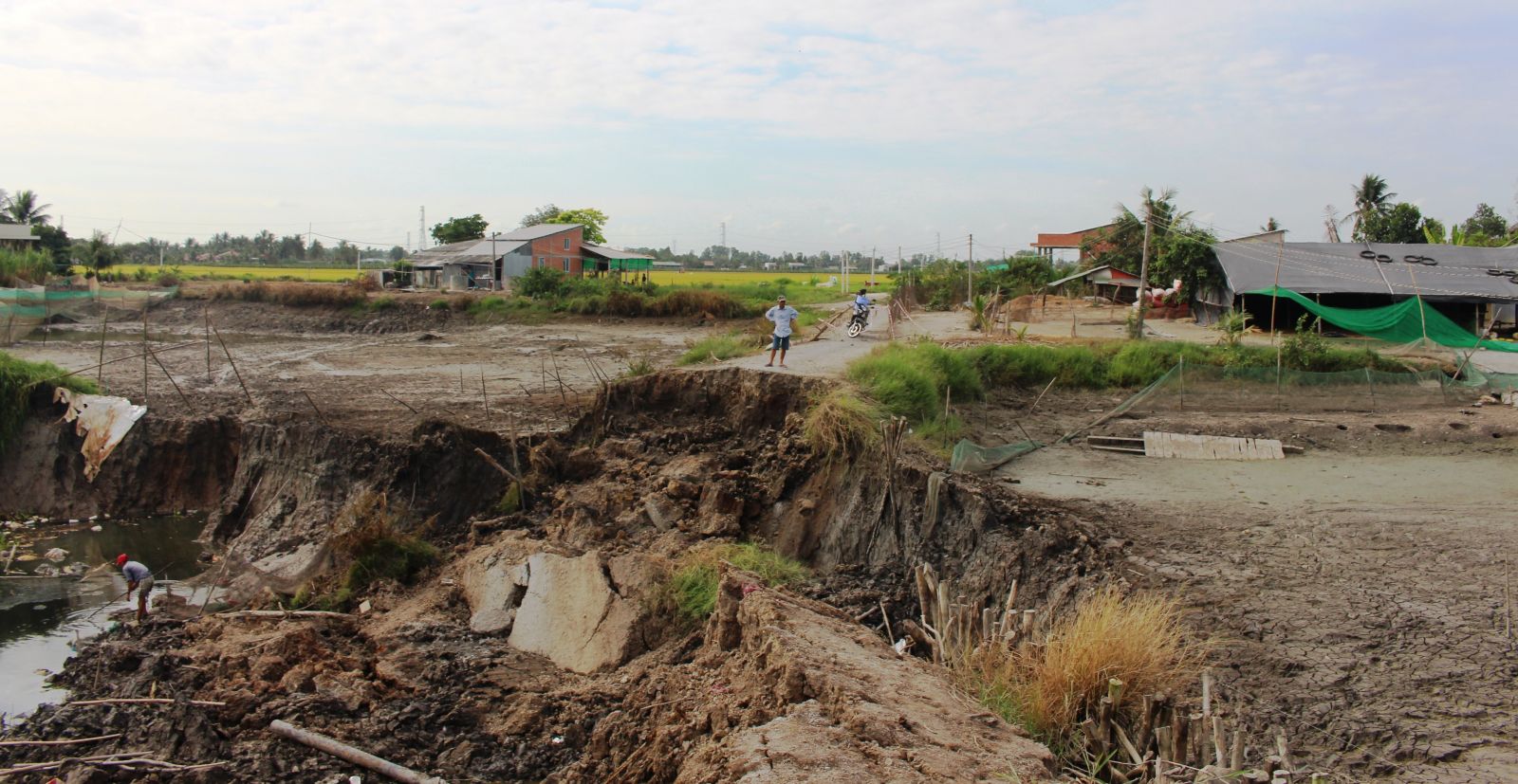 Erosion causes 2 fishponds worth about 500 million VND