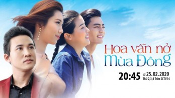 Hoa vẫn nở mùa đông