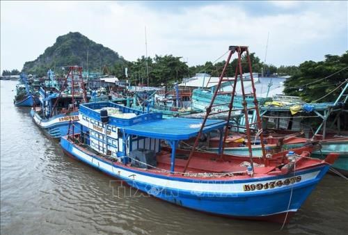 So far, Kien Giang province has installed global positioning systems for 3,336 fishing vessels and built procedures to address violations of foreign waters. (Photo: VNA)