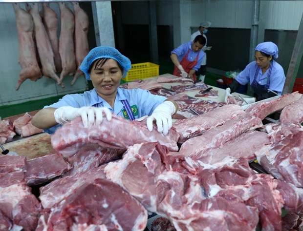 Vietnam imported over 13,800 tonnes of pork in January-February, a year-on-year rise of 150 percent. (Illustrative image. Source: VNA)