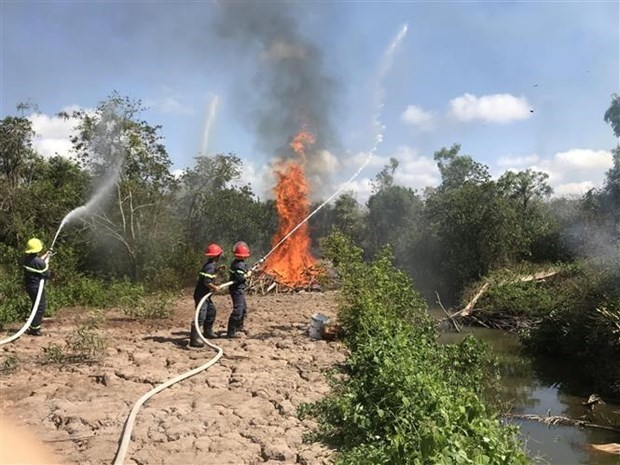 Firefighting drill (Source: VNA)