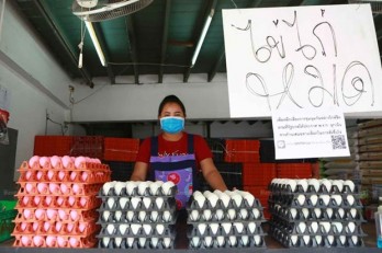 Thailand bans export of chicken eggs for seven days