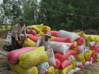 Long An proposes the Prime Minister to re-export sticky rice