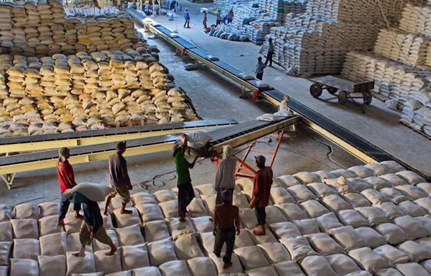 The Ministry of Finance suggests suspending exports of low-grade rice until June 15 (Source: VNA)