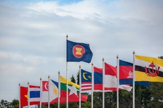 The flags of ASEAN and the member states (Photo: VNA)