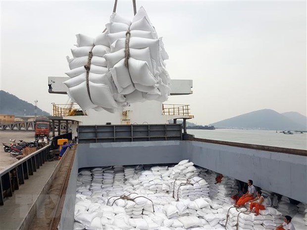 Rice bags are loaded onto a vessel for export at Cua Lo Port in the central province of Nghe An (Photo: VNA)