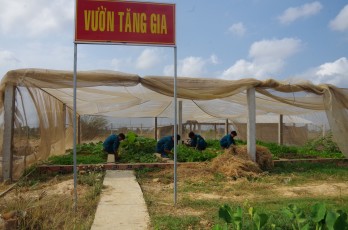 Rau vẫn xanh, hoa vẫn nở trên chốt vùng biên