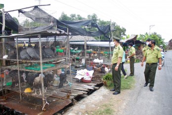 Long An: Wildlife business increased inspection