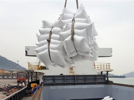 Rice is ready for export at Cua Lo Port in the central province of Nghe An. (Photo: VNA)