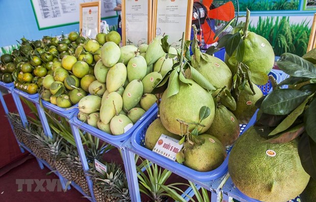 Vietnam’s fruit and vegetable exports to Thailand surged 308.77 percent in Q1 compared to the same period last year (Photo: VNA)