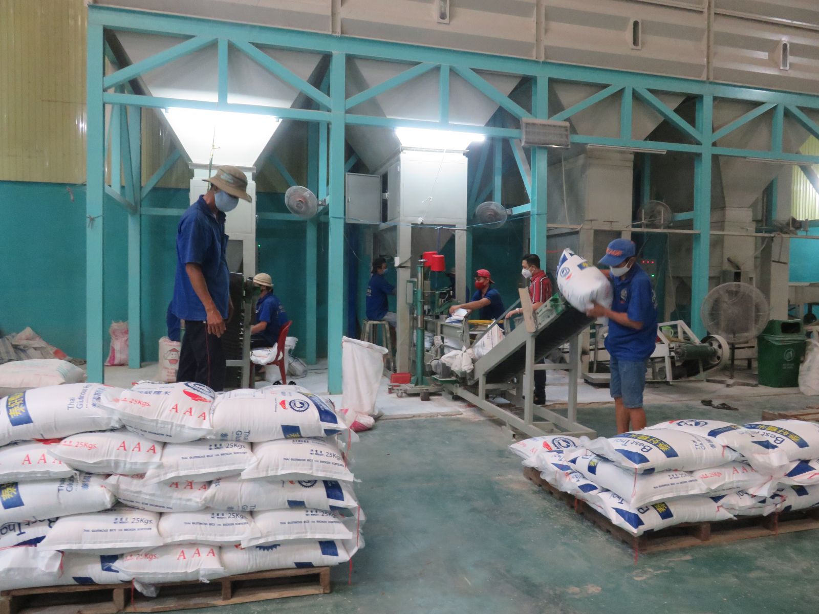  Products of Phuoc Thanh II Company are synthetic jasmine rice and jasmine rice to meet the consumers’ demand for traceability.