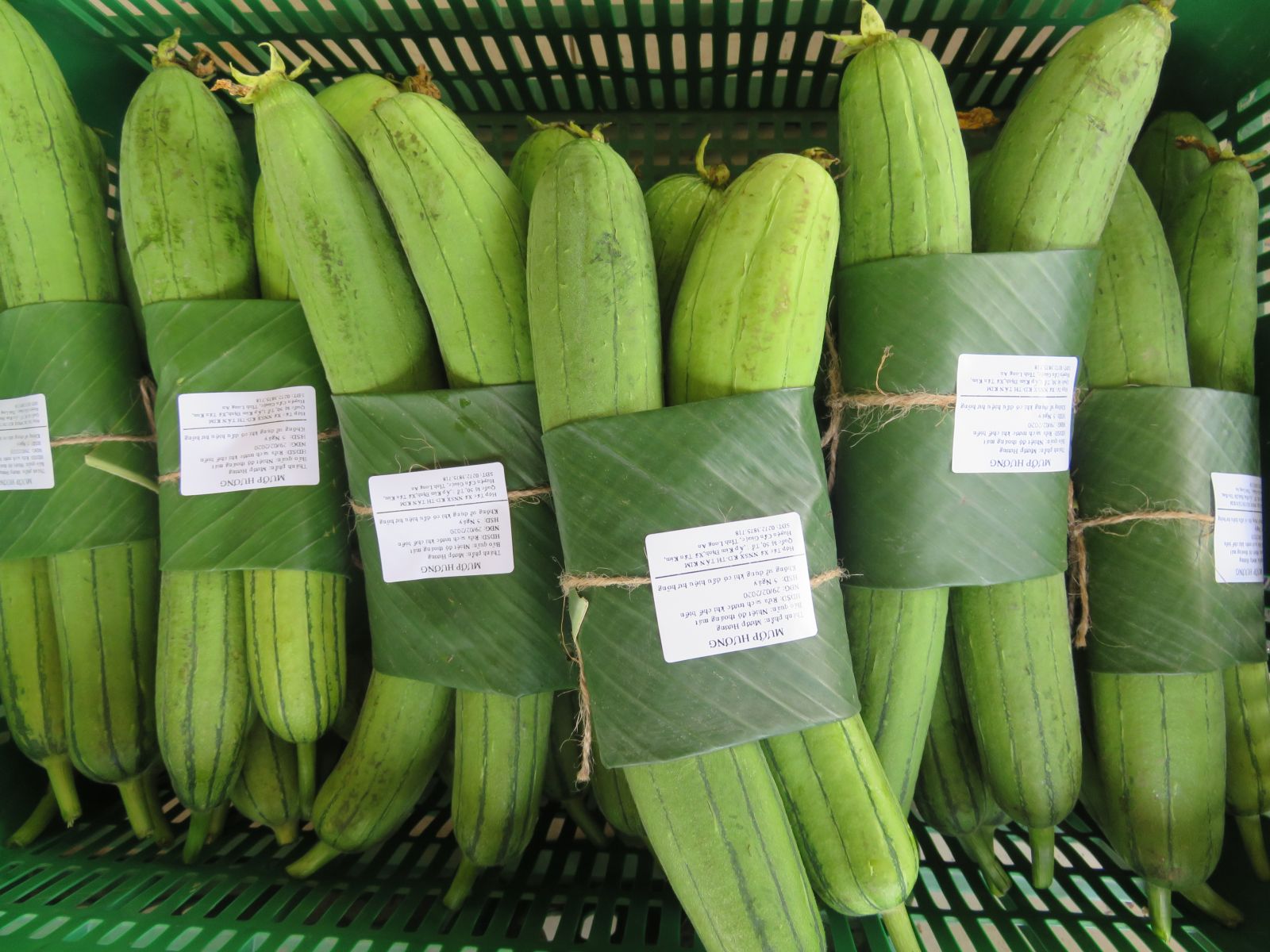 Egyptian Luffa products of Tan Kim cooperative