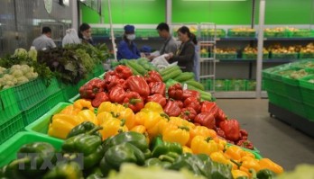 Fruit, vegetable exports up 7.9 percent in April