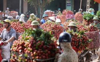 Vietnam seeks to export fresh fruits, vegetables to Thailand