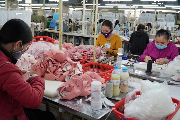 The footwear factory of the Ha Tay Chemical Weave Co. Ltd in Hanoi (Photo: VNA)