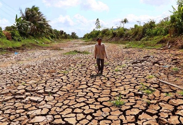 A canal has dried up amid severe drought in the central region of Vietnam (Photo: VNA)