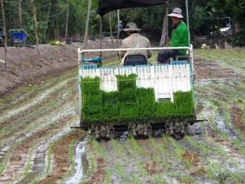 Long An: Agricultural mechanization brings a lot of efficiencies