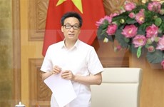 Deputy Prime Minister Vu Duc Dam. (Photo: VNA)