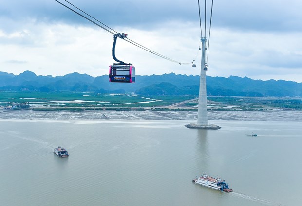 The Cat Hai - Phu Long cable line (Source: laodong.vn)